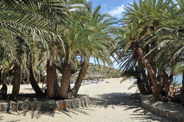 Vai Palm Beach